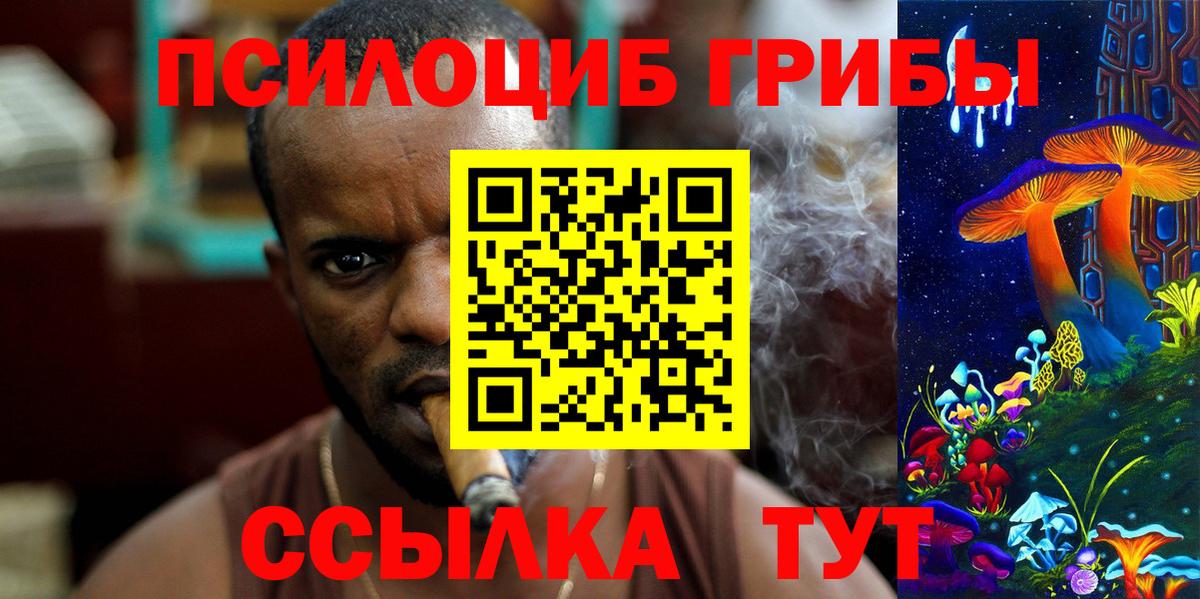 купить наркотики цена  Галлюциногенные грибы Psilocybe  Вход с VPN  Топки 