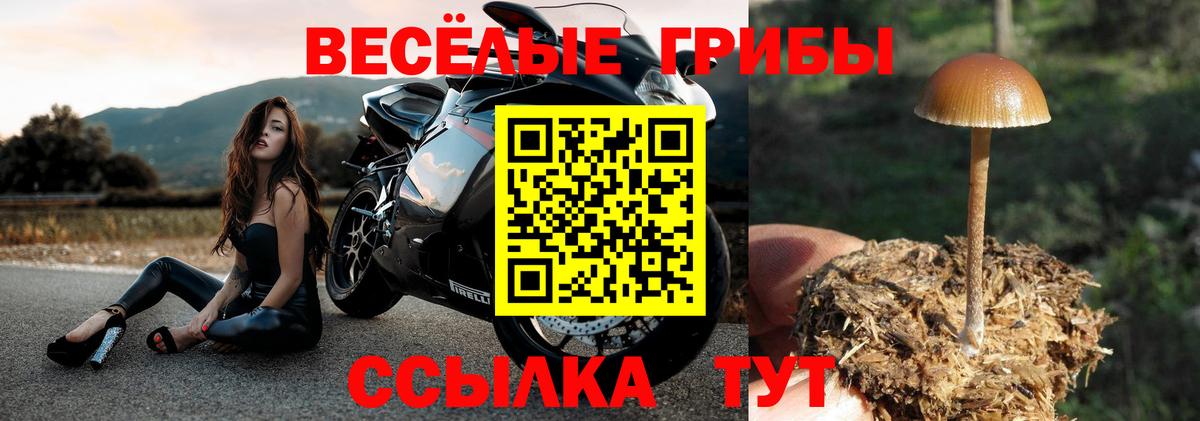 Псилоцибиновые грибы мухоморы Топки